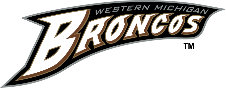 Western Michigan Broncos 1998-2016 Wordmark Logo v2 diy iron on heat transfer